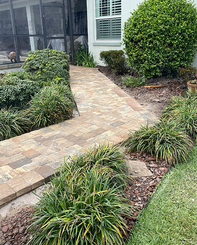 03-image-home-portf